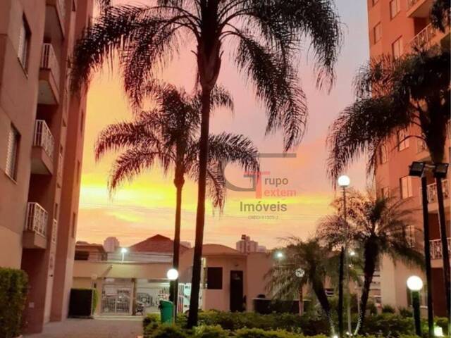 Venda em Chácara Califórnia - São Paulo